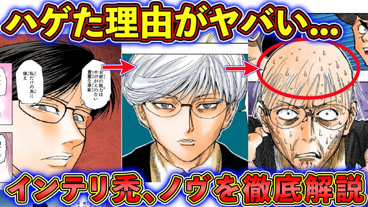 ノヴを徹底解説