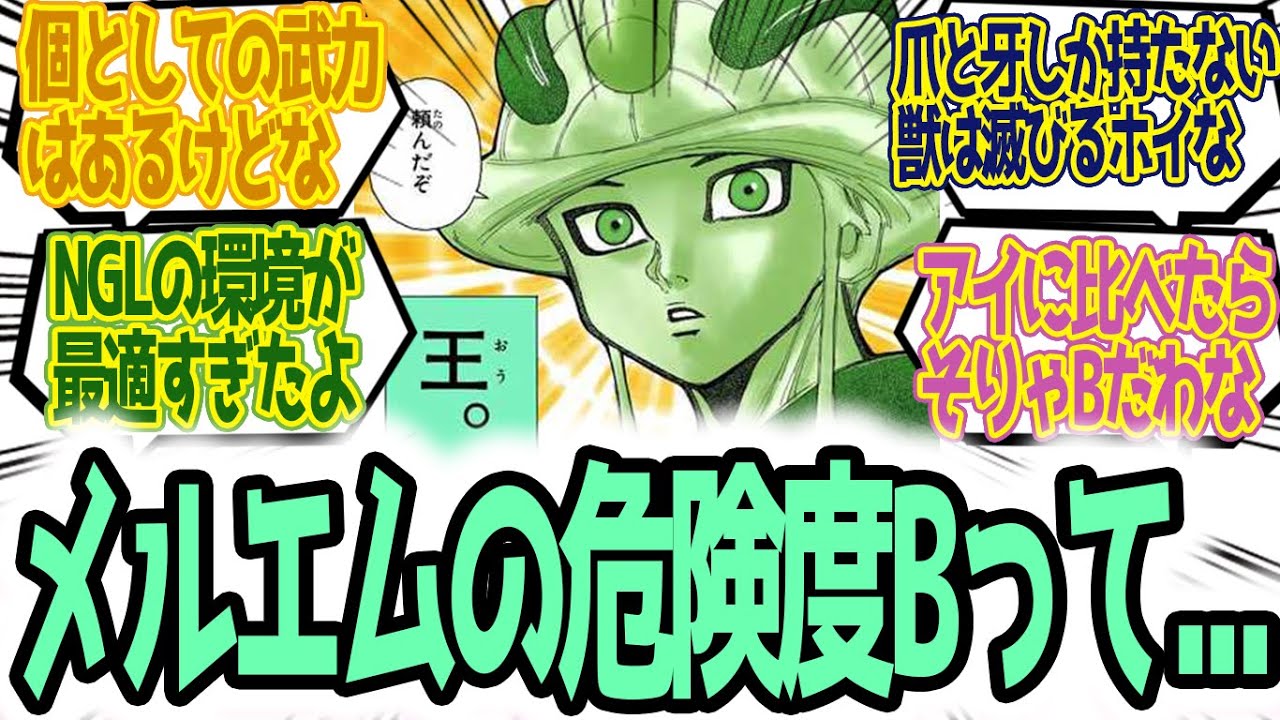 メルエムの危険度がBランクなことに対する読者の反応集