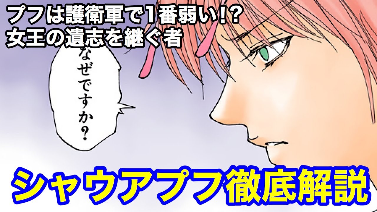 シャウアプフ徹底解説