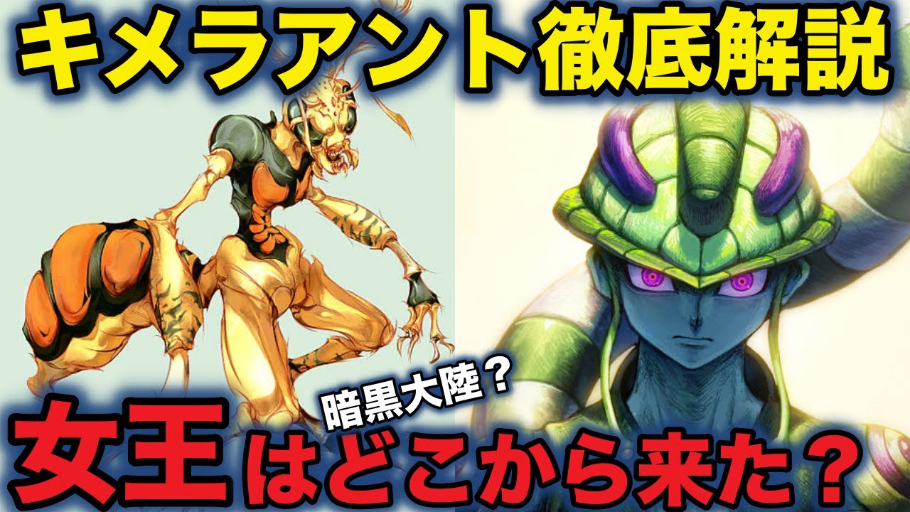 キメラアントについて徹底考察